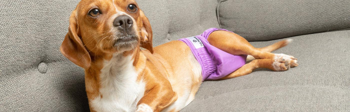 WASHABLE DIAPERS - WASHABLE DIAPERS