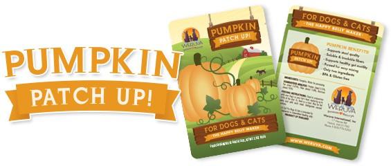 PUMPKIN PATCH UP! - PUMPKIN PATCH UP!
