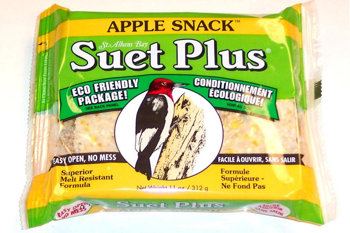 APPLE SNACK - APPLE SNACK