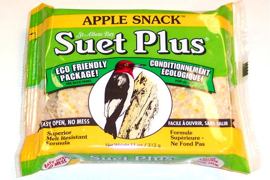 APPLE SNACK - APPLE SNACK