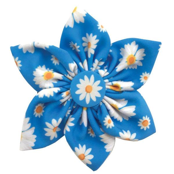 PINWHEEL - PINWHEEL