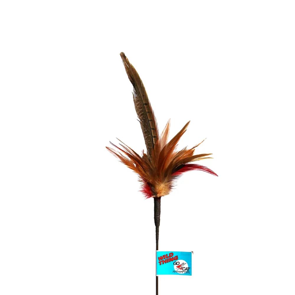 TEASER WILD THING - TEASER WILD THING