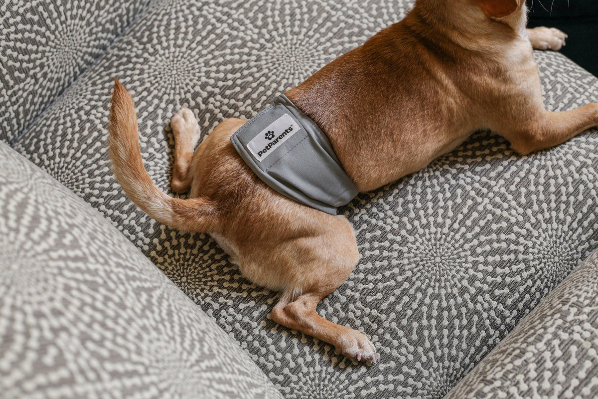 WASHABLE BELLY BANDS - WASHABLE BELLY BANDS