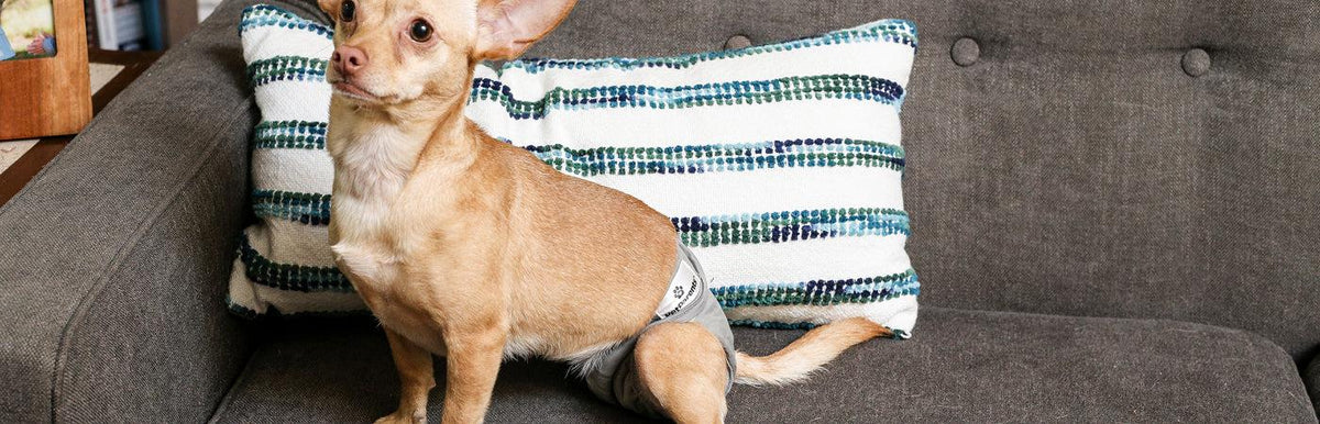 WASHABLE DIAPERS - WASHABLE DIAPERS