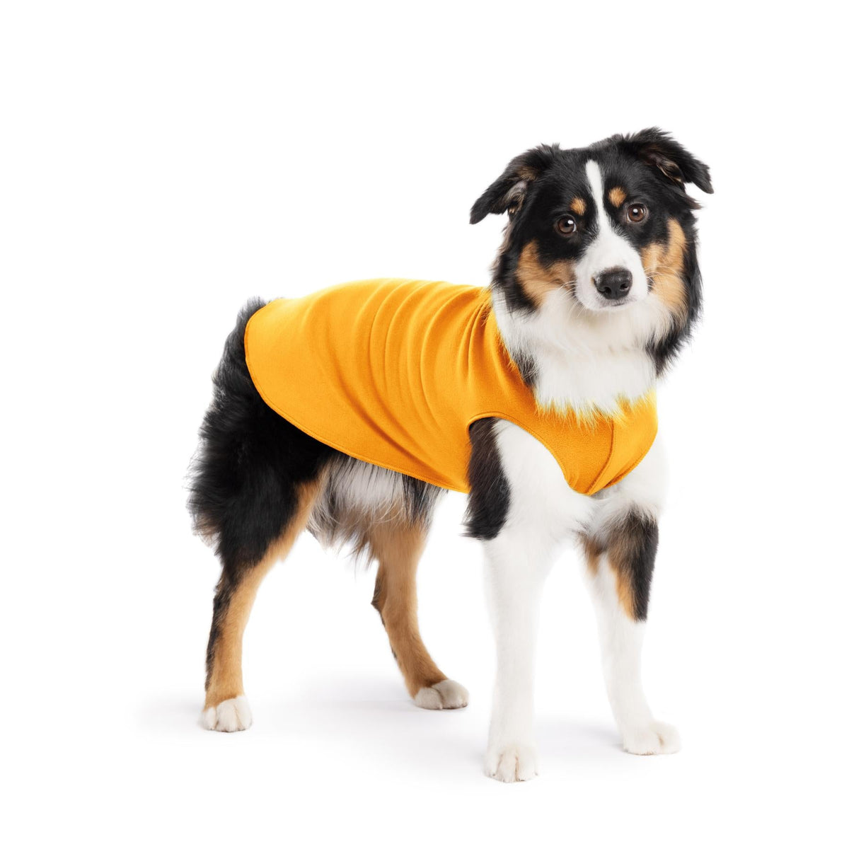 STRETCH FLEECE - STRETCH FLEECE