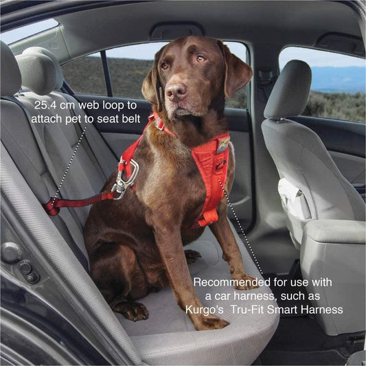 SWIVEL SEAT BELT TETHER - SWIVEL SEAT BELT TETHER