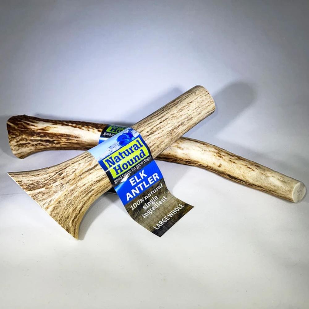 ELK ANTLER WHOLE - ELK ANTLER WHOLE