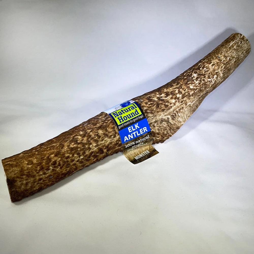 ELK ANTLER WHOLE - ELK ANTLER WHOLE