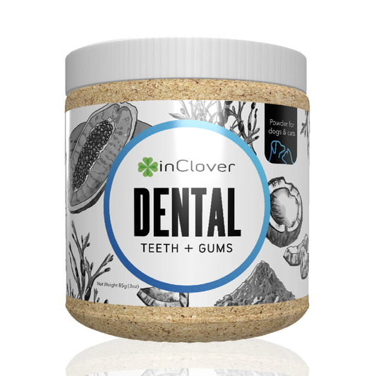 InClover Dental Supplement for Dogs + Cats