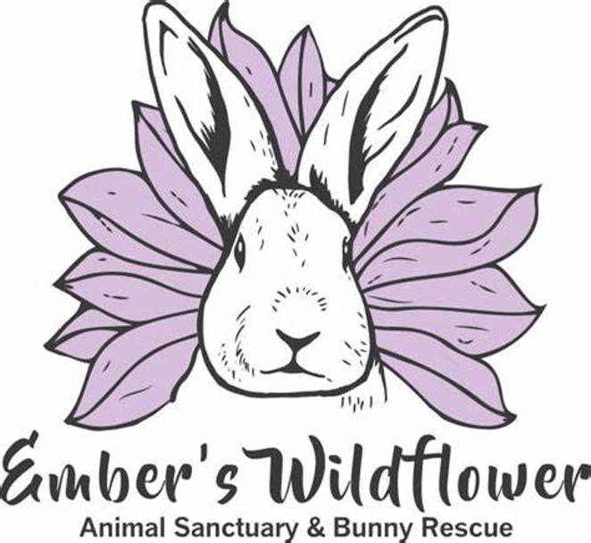 Embers Wildflower Bunny Rescue