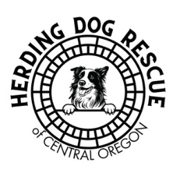 Herding Dog Rescue of Central Oregon