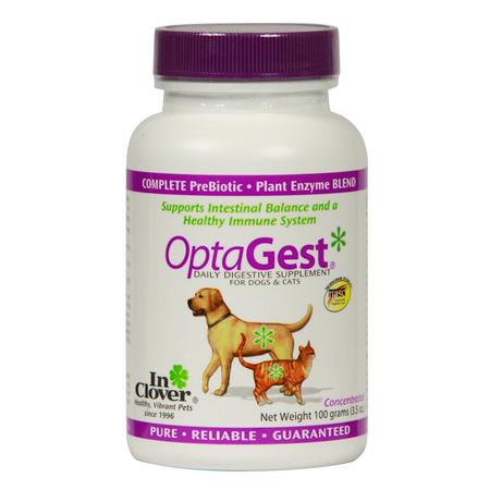 Optagest Digestive Aid, 100GM