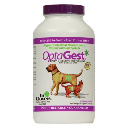 Optagest Digestive Aid, 300GM