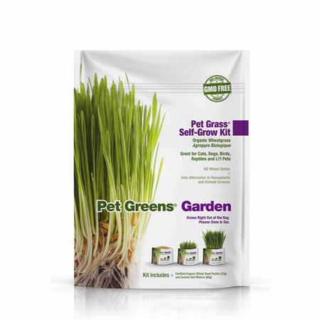 Organic Wheat Grass Garden Cat