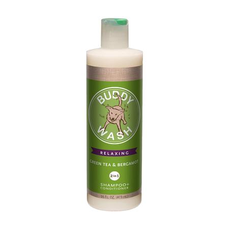 CLOUDSTAR Buddy Wash Green Tea 2 In 1, 16OZ