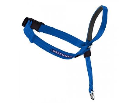 PETSAFE Gentle Leader, SM, Royal Blue