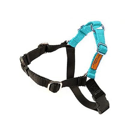 DOLANS DOG DOODADS Wonder Walker, XS5/8IN, Turquoise