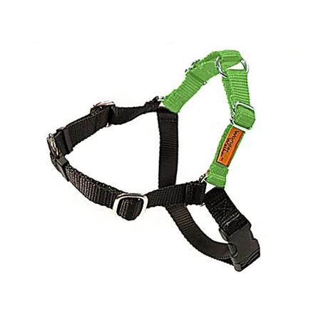 DOLANS DOG DOODADS Wonder Walker, XS5/8IN, Light Green