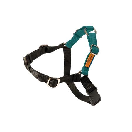 DOLANS DOG DOODADS Wonder Walker, XS5/8IN, Teal