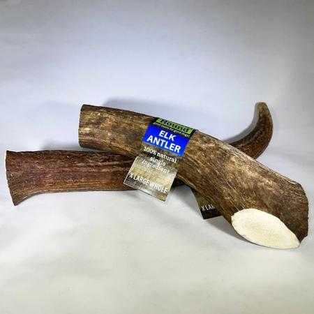 Elk Antler Whole, XL