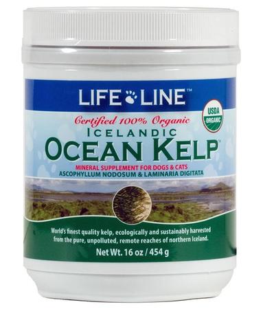 LIFE LINE Organic Ocean Kelp, 16OZ