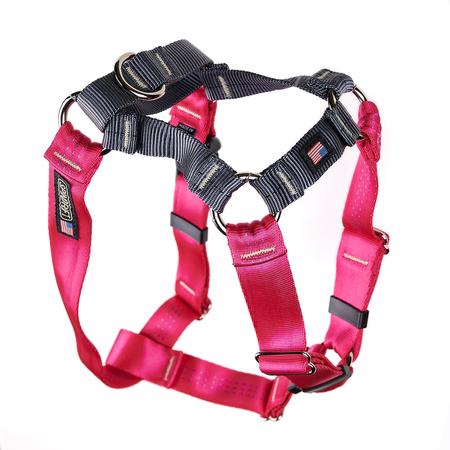 No-Pull Harness, XS, Raspberry