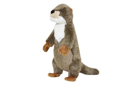 Harry The Otter, LG