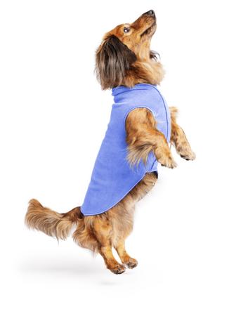 GOLD PAW Fleece, 10, Cornflower Blue