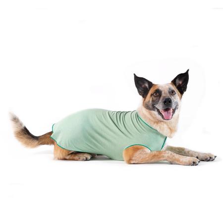 GOLD PAW Sun Shield Tee, 22, Pistachio