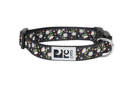 Clip Collar, MD, Daisies