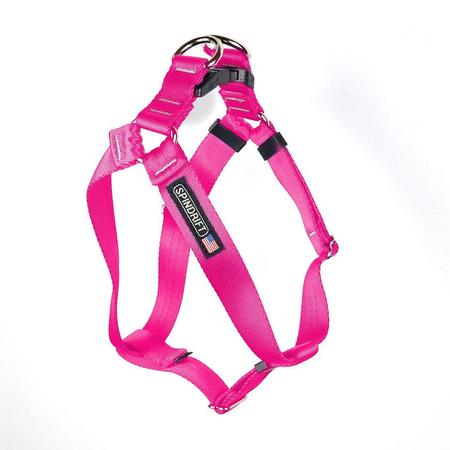 Step-In Harness, SM, Raspberry
