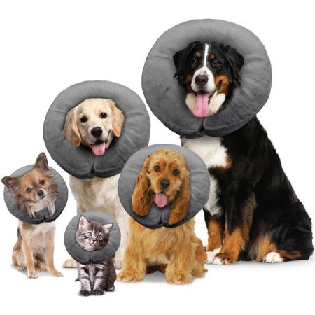 Therapetic Collar, MD/10_15IN