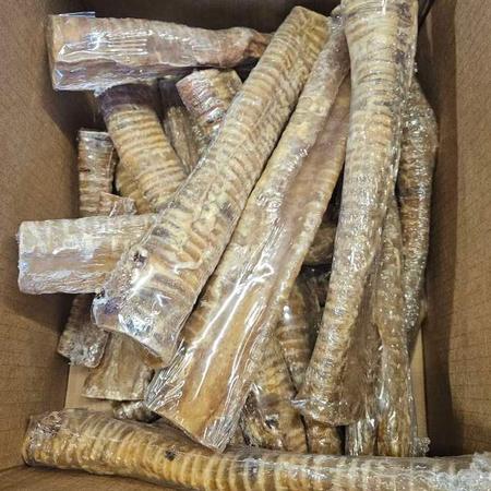 Beef Trachea, SHORT
