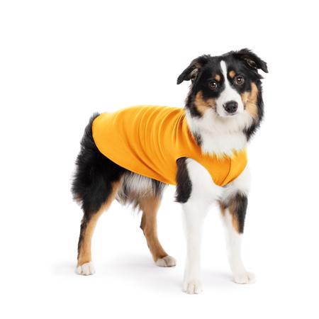 Stretch Fleece, 10, Cheddar