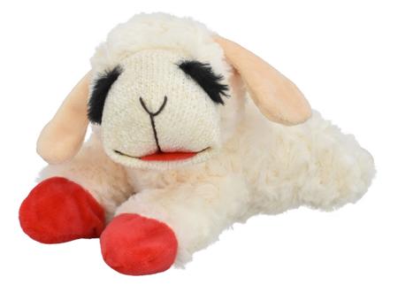 Lamb Chop, MD