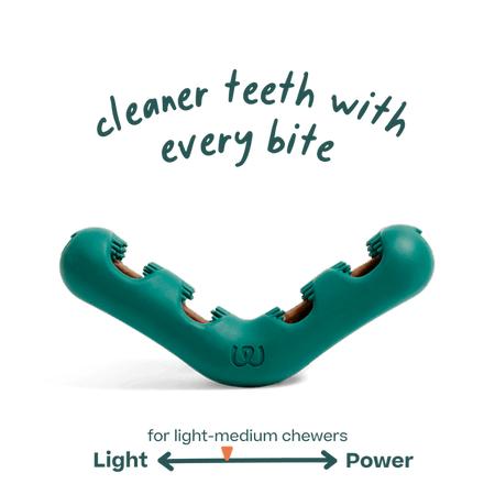 Bite N Brush, LG, Green