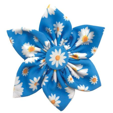 Pinwheel, SM, Flower Child