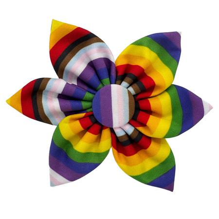 Pinwheel, SM, All Together