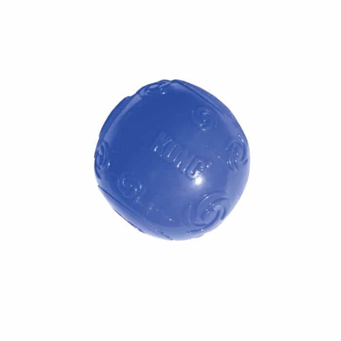blue kong ball